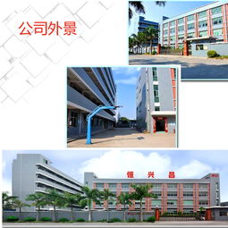 網絡科技研發 塑就未來，智造精工